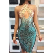 Lovely Euramerican Sequined Decorative Sheath Knee