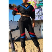 Lovely Sportswear Patchwork Black Two-piece Pants 