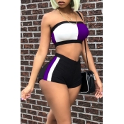 Lovely Casual Patchwork Purple Two-piece Shorts Se
