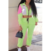 Lovely Casual Patchwork Green Two-piece Pants Set