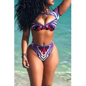 Lovely Sexy Hollow-out Blue Two-piece Swimwear
