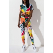 Lovely Casual O Neck Printed Multicolor Two-piece 