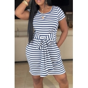 Lovely Casual Striped Printed Blue Mini A Line Dre