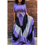 Lovely Casual Patchwork Purple Two-piece Skirt Set