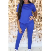 Lovely Casual Basic Blue Two-piece Pants Set
