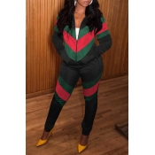 Lovely Casual Patchwork Black Two-piece Pants Set