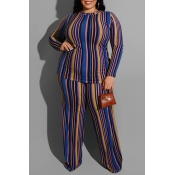 Lovely Casual Striped Blue Plus Size Two-piece Pan