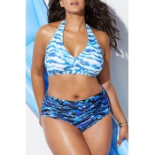 Lovely Printed Blue Plus Size Two-piece Swimwear