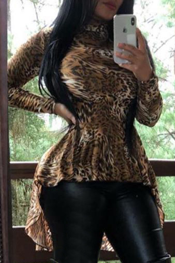 Lovely Casual Leopard Brown Blouse