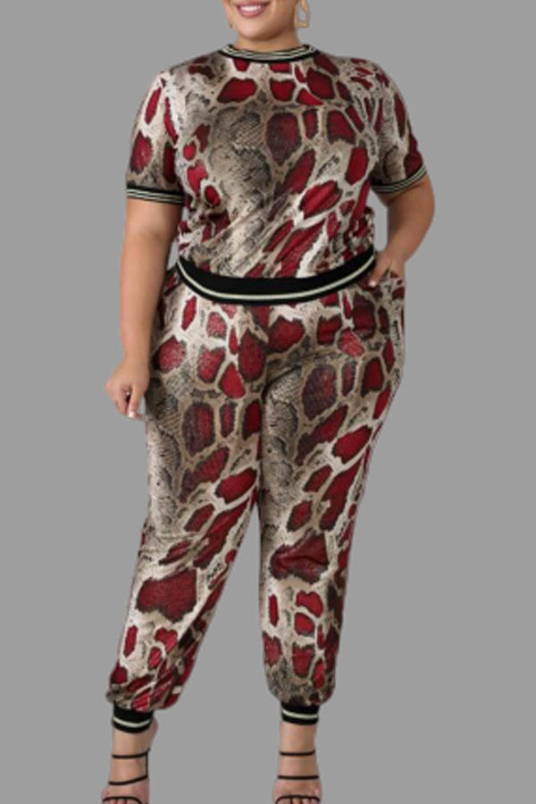 Lovely Casual Snakeskin Print Plus Size Two-piece Pants Set