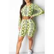 Lovely Casual Print Skinny Green Two-piece Shorts 