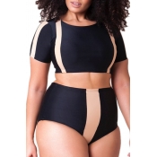 Lovely Patchwork Black Plus Size Two-piece Swimsui