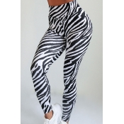 Lovely Chic Zebra Stripe Pants