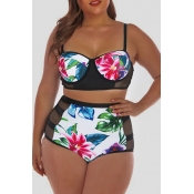 Lovely Striped Black Plus Size Two-piece Swimsuit