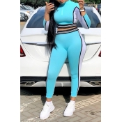 Lovely Casual Patchwork Baby Blue Two-piece Pants 