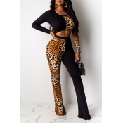 Lovely Casual Patchwork Black Two-piece Pants Set