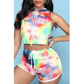 Lovely Casual Print Multicolor Two-piece Shorts Se