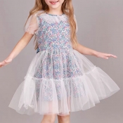 Lovely Sweet See-through Multicolor Girl Knee Leng