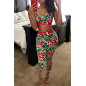 Lovely Sportswear Print Red Two-piece Pants Set