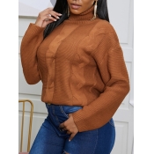 Lovely Trendy Turtleneck Basic Brown Sweater