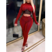 Lovely Sexy Mesh Patchwork See-through Red Two Pie