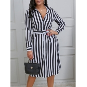 Lovely Work Turndown Collar Striped Black Knee Len