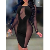 LW SXY See-through Bodycon Dress
