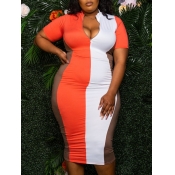 LW Plus Size Casual Striped Patchwork Croci Knee L