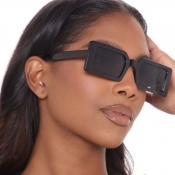 LW Regular Frame Sunglasses