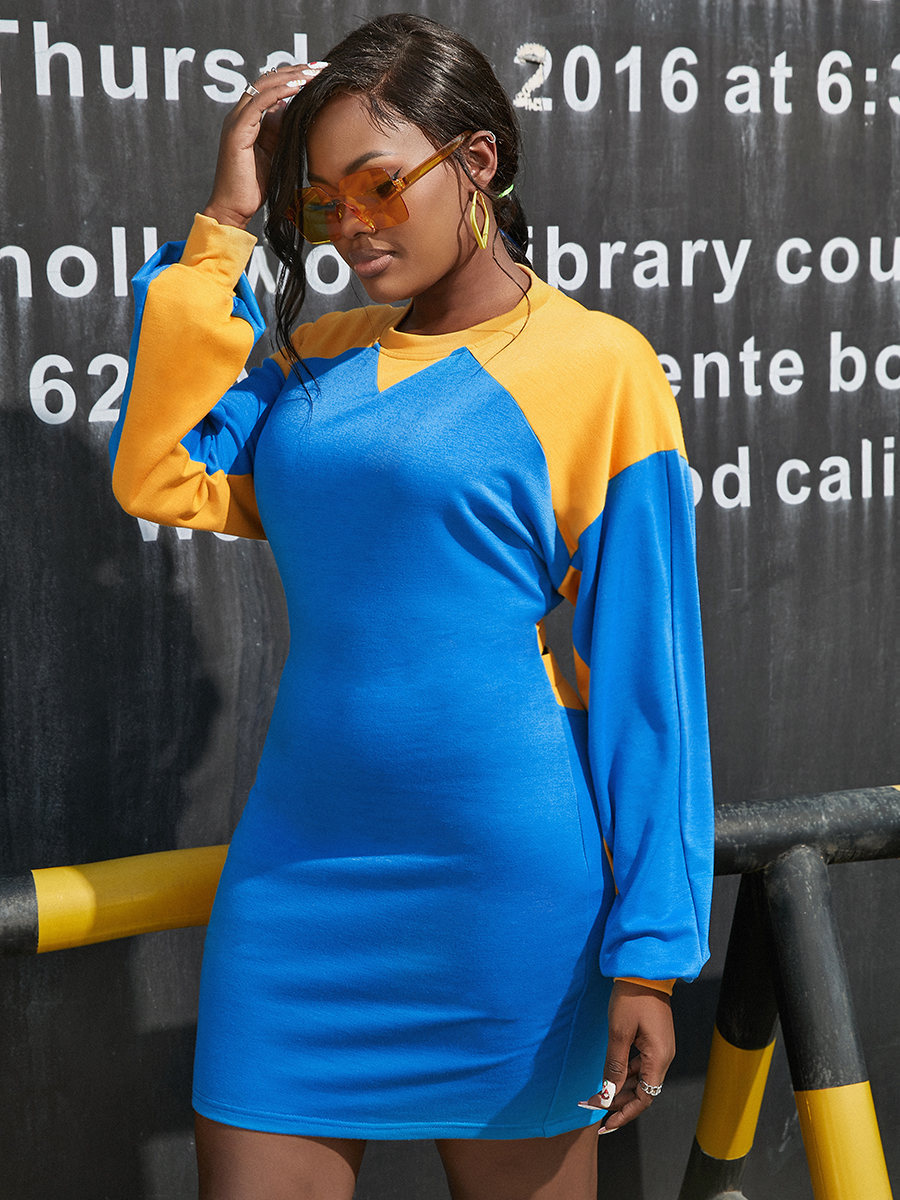 LW Round Neck Patchwork Bodycon Dress
