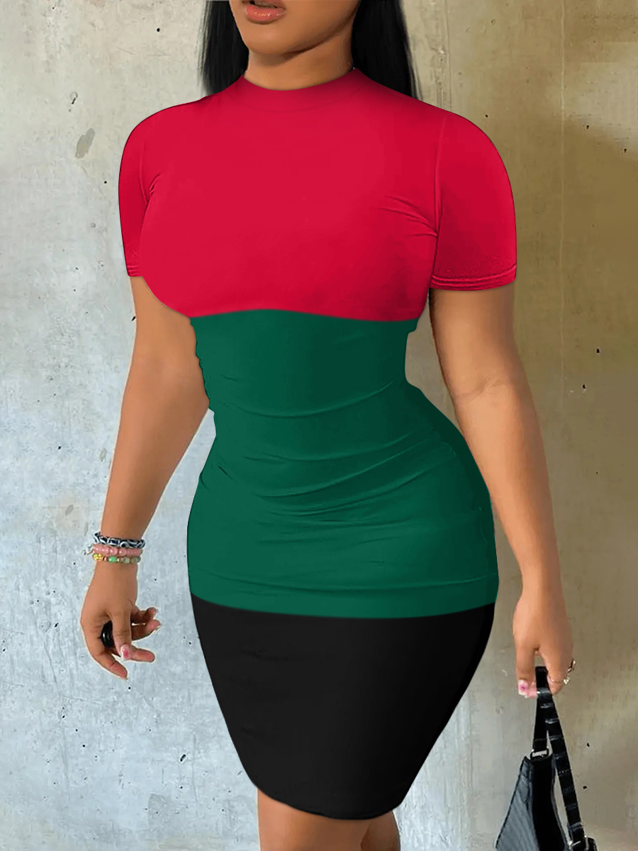 LW Round Neck Patchwork Bodycon Dress