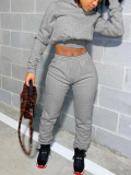 LW BASICS Casual Polyester Hooded Collar Solid Color Long Sleeve Two-piece Pants Set
