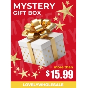 LW $15.99 Mystery Gifts For You Now