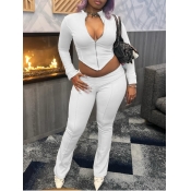 LW Casual Polyester Mock Neck Solid Color Long Sle